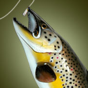 Located in the heart of Placerville California. Mosquito Creek Outfitters is a family run business specializing in Fishing, Archery, and Firearms.