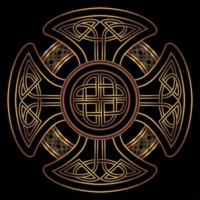 pd5bus's profile picture. 