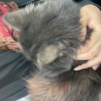 ftalb1's profile picture. MBA🎓|skincare specialist🥼| psychology-savvy🪽