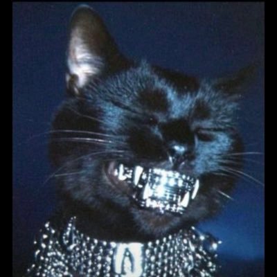 LolaBanks_'s profile picture. 🇹🇹&🦄 just here for the vibes