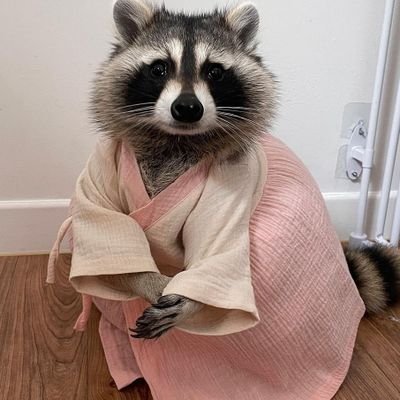 realgygy's profile picture. 친구따라 강남가는거지 그건 님이 강남도 아니고 뭔 어디 섬동네 있으면서 여기가 강남이야 하고 일호선할배마냥 외치는 거잖아요