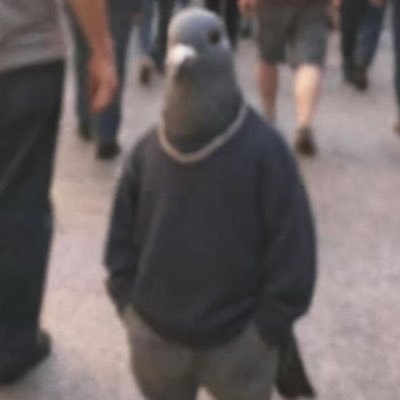 JNBcod's profile picture. 