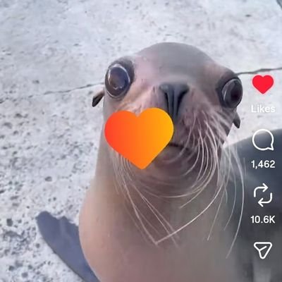 bedwras priv Profile