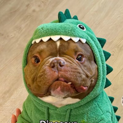 mayofnoce's profile picture. Oce loser