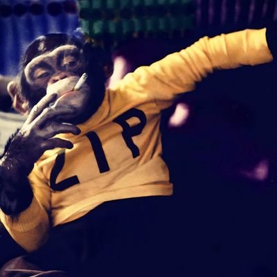 MatthiasSyn's profile picture. Everything's a psyop