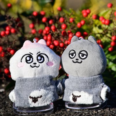 あごあし🍣🍰