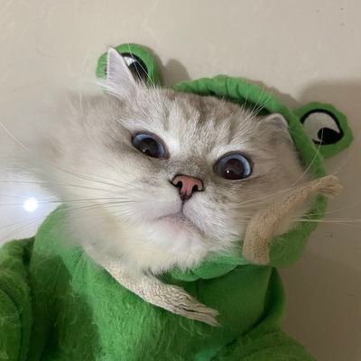 ClemenceMila's profile picture. Looking for honest agent
US
Sexy toy no toy