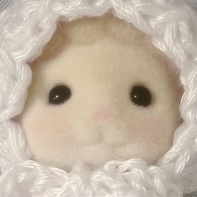 starinseas's profile picture. 