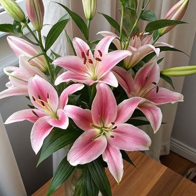 NatureRefl22153's profile picture. Flowers lover 🌹