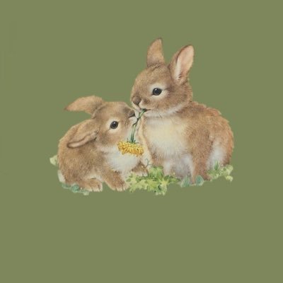 psychedcyclist's profile picture. 