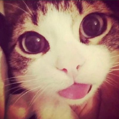 Ryy_stinksss's profile picture. I post bodychecks & sh |#shedtwt|she/her 🫩 dnf -14 DNI NSFW 🚫

≽^•⩊•^≼ifbbb ₊⊹ugw: 90Ibs ₊⊹cw:112₊⊹ gw:105