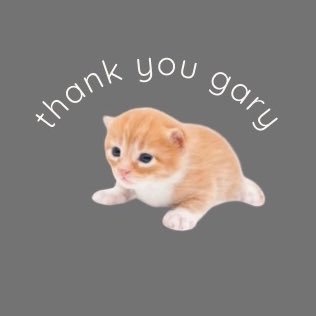 thankyougary.store