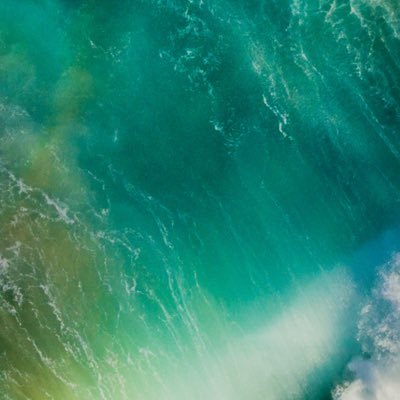 DWpaMont's profile picture. 