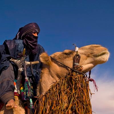 SalisuAdam11201's profile picture. 