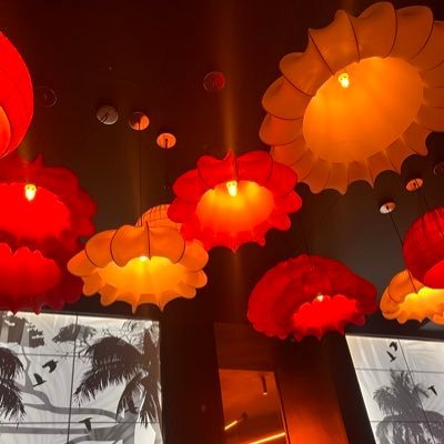 charlovesyyou's profile picture. 💗✨