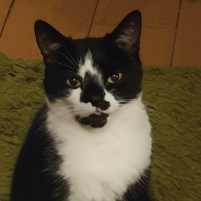 Mikedg92's profile picture. 👮🏻‍♂️👸🏻😸😸😸😸