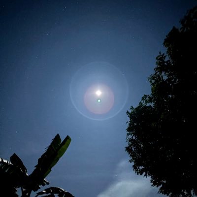 khatchawut's profile picture. บางแสน