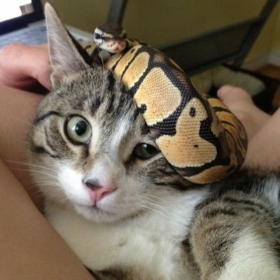 kayy24__'s profile picture. 