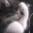 60pyc's profile image
