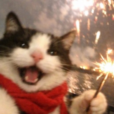 manguitouu's profile picture. 🎮CC, 🎙️ Caster & ⌨️Escritor amateur de esports / Corresponsal de @SonsofKS para VCT / Fan del Valito, los gatos y de ❤️@gispusheen