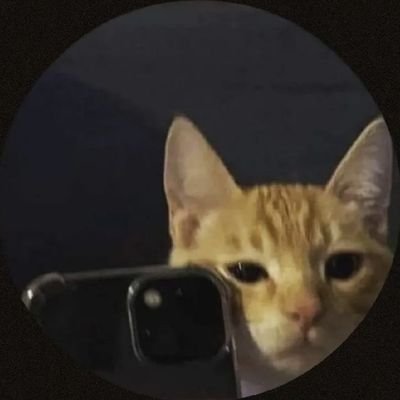 farzad335423's profile picture. 🗣☀️