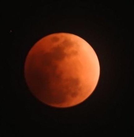 chupakeps's profile picture. 