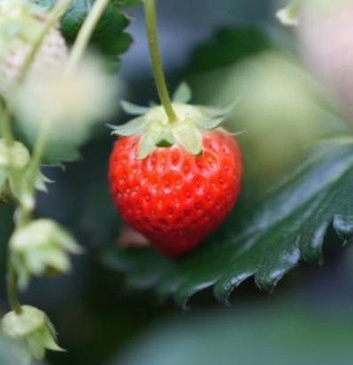 cutegurl570's profile picture. 