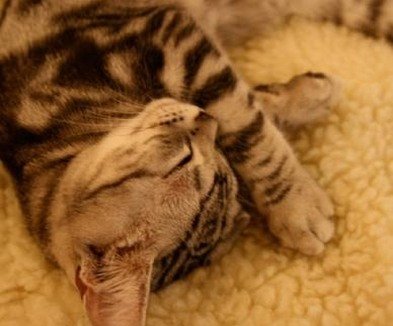 DavidLyon14's profile picture. 