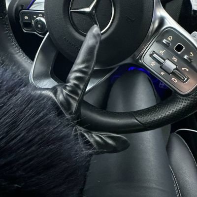 3311Mario's profile picture. Die Zahlnutte