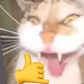 TsunaioshiDiaz's profile picture. 