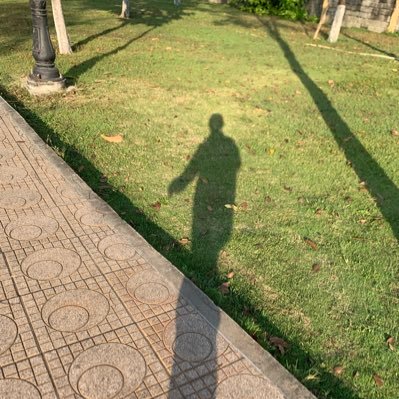 scccass's profile picture. 