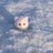 __sk598's profile image