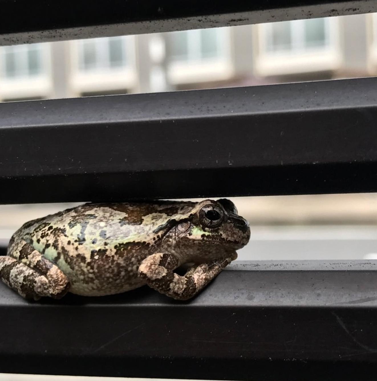 giovanni_espos's profile picture. 