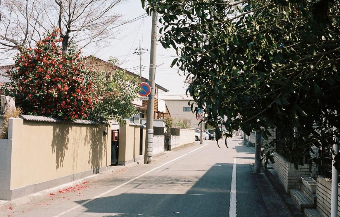 HoseaHoaeb's profile picture. 