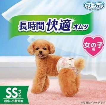 ital24's profile picture. 