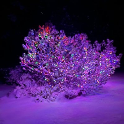 Grluc2680's profile picture. 