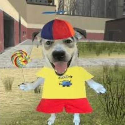 Wickendewb's profile picture. 25 y/o unfunny guy. opinions held are my own.