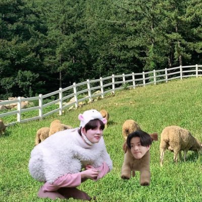 yo9rt__'s profile picture. 개윤 in the 쉽가든