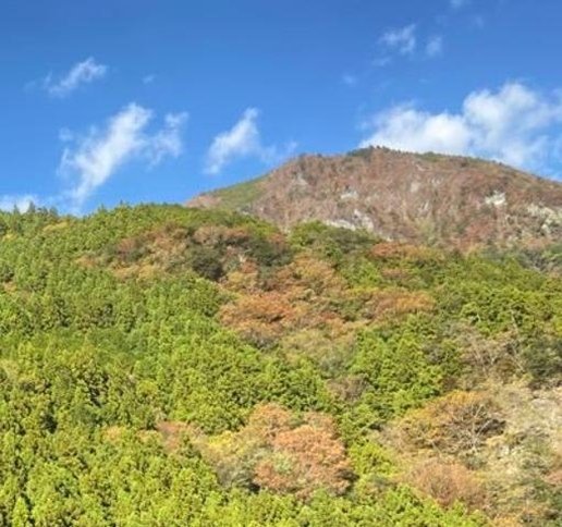 kdjdfgrrev's profile picture. 