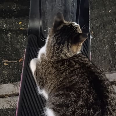 hzklmnop_'s profile picture. 