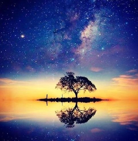 lazrokr's profile picture. 