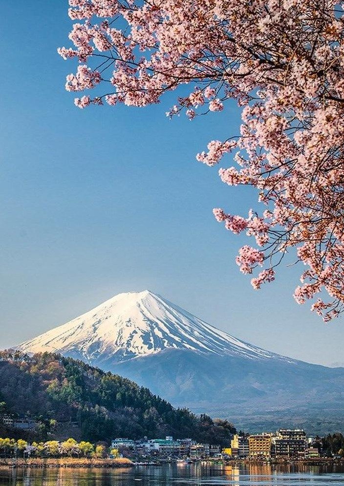 lautnerFAN97's profile picture. 