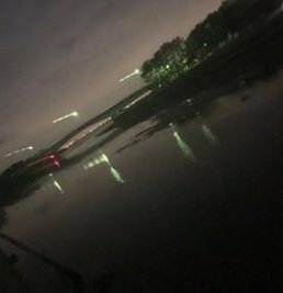 lcerdeirinha's profile picture. 