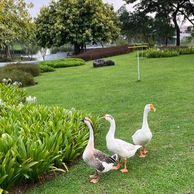 huckeybusk's profile picture. fluent in silence • archives