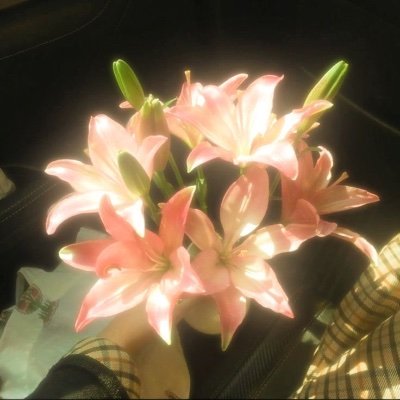 chtarisma's profile picture. 