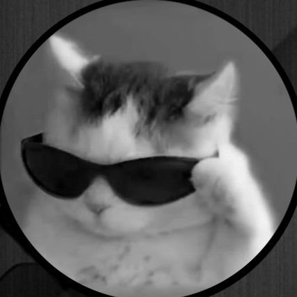 igor21p_'s profile picture. a outra conta foi suspensa 😔