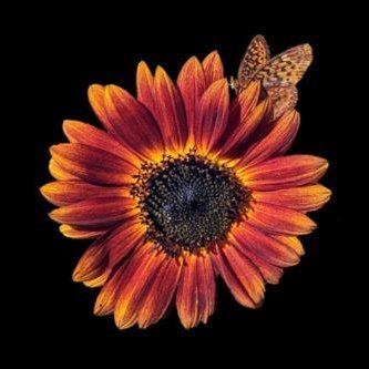 GFull225's profile picture. Grow food not government. Constitutionalist. Retired Grandma. NO TRAINS. #HomeGarden 
"Can't stop the signal, Mal" - Mr. Universe, Serenity