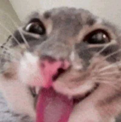 meteorhologi's profile picture. don't look back in anger