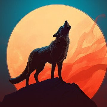 wolfofxstreet7's profile picture. 