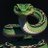 XRP_VIPER's profile image